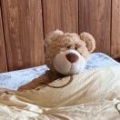 小牛兰兰