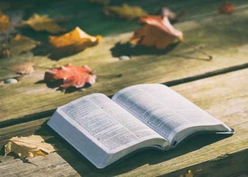 book-leaves-autum