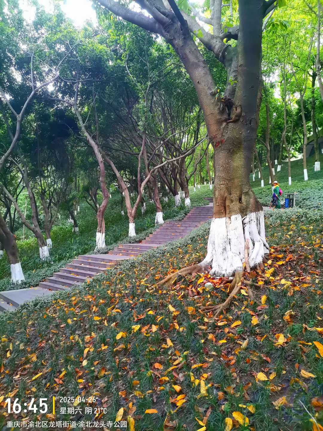 微信图片_2025-04-27_113807_755